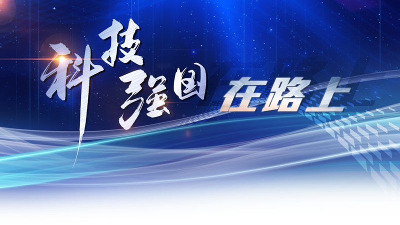 电商数据中台的架构设计与性能优化