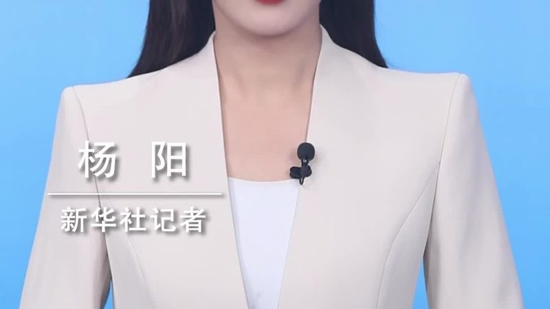 测试文档模板定制：提升效率的关键步骤